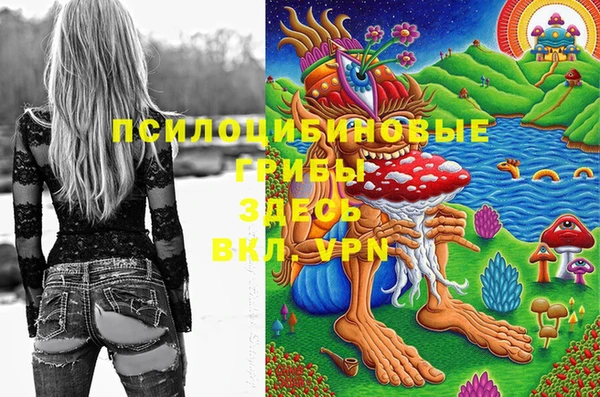2c-b Алексеевка