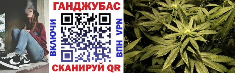 Канабис конопля  Ясный 